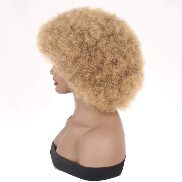 Caractéristique de la perruque sur la photo: Matière: virgin human hair Style: Afro Longueur: 14” Couleur: 27# Densité: 200%